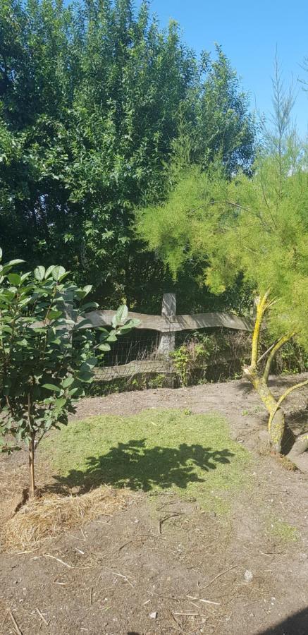 L Hyppo Camp' Bed & Breakfast Oye-Plage ภายนอก รูปภาพ